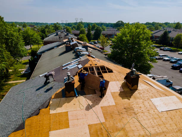 Best Storm Damage Roof Repair  in Bedford, VA