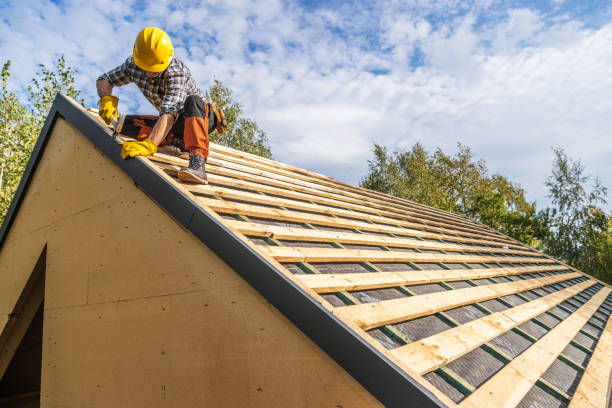 Best Roof Gutter Cleaning  in Bedford, VA